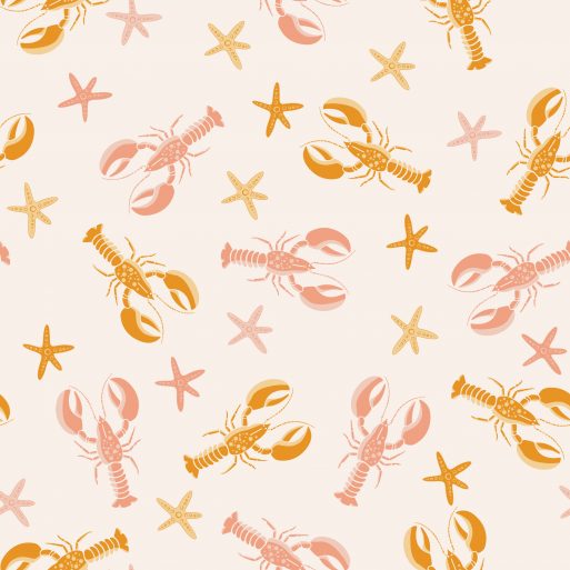 Coral Lobsters and Starfishes